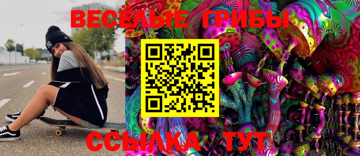 Галлюциногенные грибы Psilocybe  Вход с VPN  Черняховск 